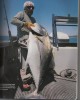 giant trevally